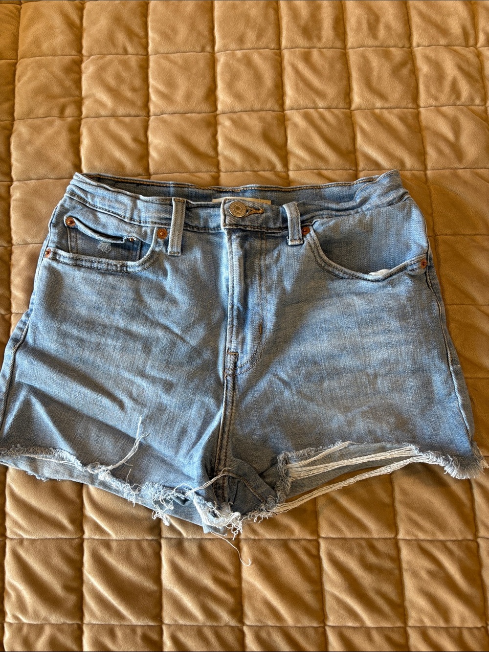Signature by Levi Strauss Light Blue Cutoff Denim Shorts